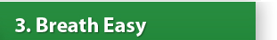 Cash for Junk Cars � Money for your Old Car